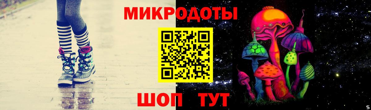 Псилоцибиновые грибы GOLDEN TEACHER Дубна