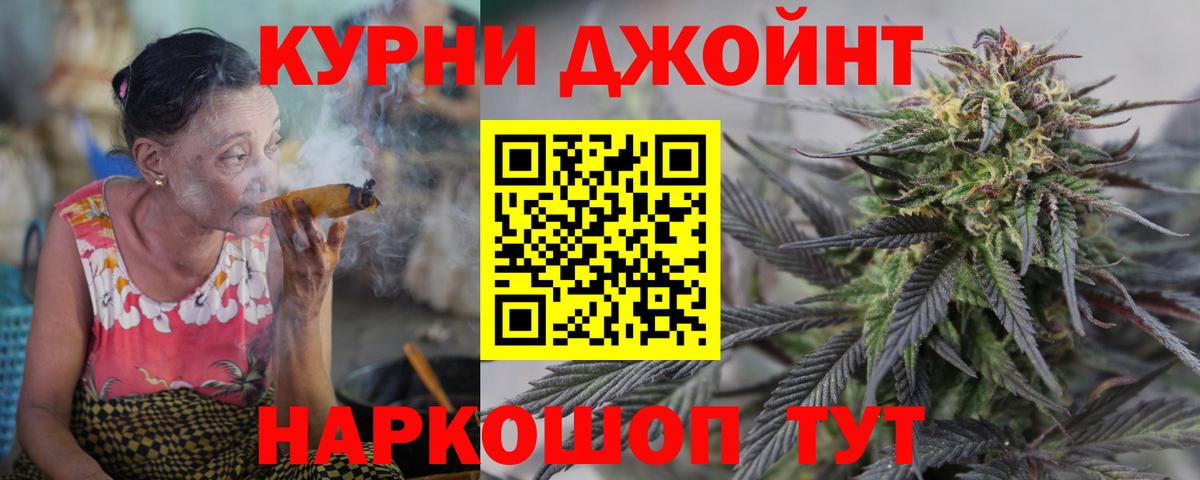 Конопля план Дубна